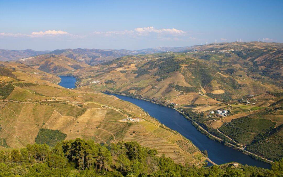 Gastronomia do Douro: Uma viagem pelos sabores de Portugal