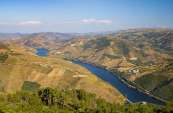 Gastronomia do Douro: Uma viagem pelos sabores de Portuga